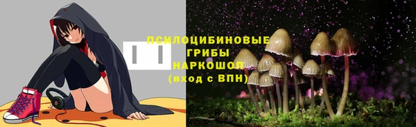 индика Абдулино
