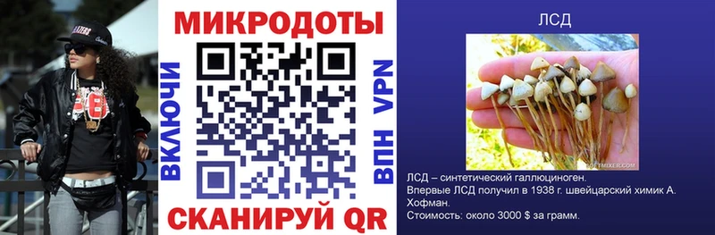 Галлюциногенные грибы GOLDEN TEACHER  продажа наркотиков  Эртиль 